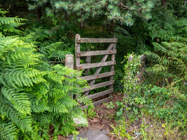 Entrance by the A9 to Kessock Wood from... © Julian Paren :: Geograph ...