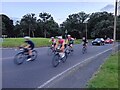 Cyclists on the Epping Road