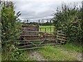 Difficult field entrance near East Lydford