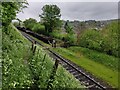 Severn Valley Railway at Bewdley