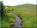 Afon Tarennig near Eisteddfa Gurig Farm