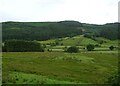 Rough grazing, Wye Valley