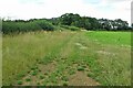 Looking towards the tree line of the dismantled railway