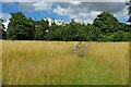 Fence-less gate on the Oxfordshire Way