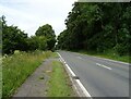 A470 beside woodland