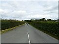 Minor road towards Cwmllwydion