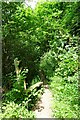 Stile in Lower Wood