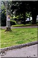 American Circus advert on a tree trunk, Two Locks, Cwmbran