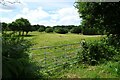 Gate near Shorehill Farm