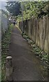 Path between railings and a wooden fence, Two Locks, Cwmbran