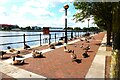 Salford Quays Salford Wharf Resident Canada Geese