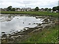 Newburgh - Foveran Burn