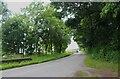 Shady bend on the B817 road