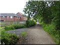 Bridleway approaching Green Lane