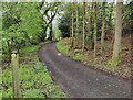 Track and footpath in the Habberley Valley