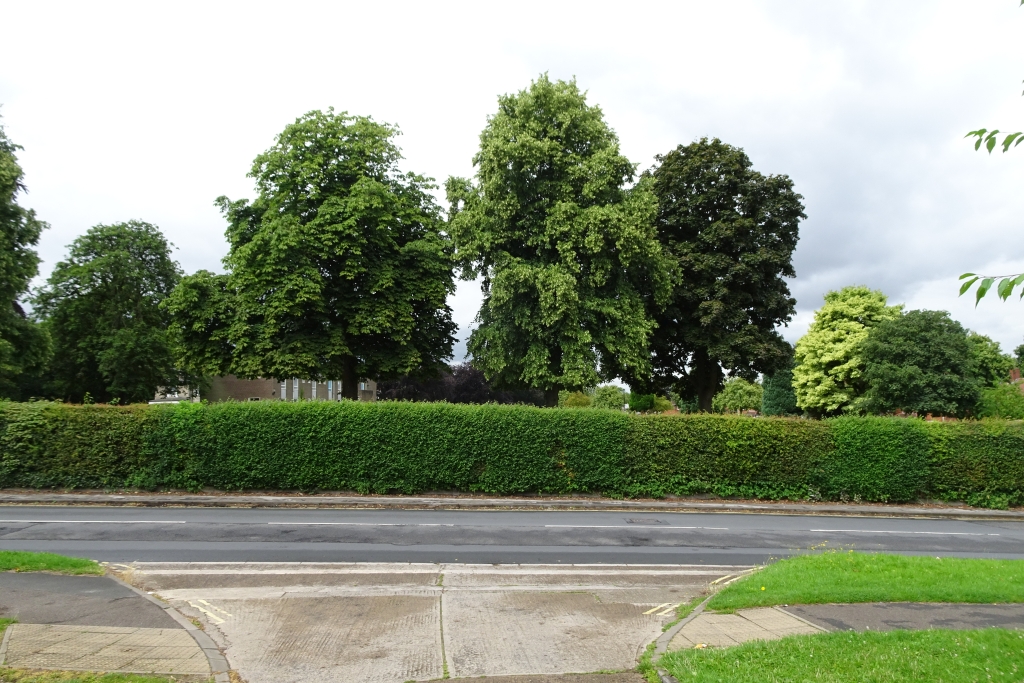 Three trees on Green Dykes Lane © DS Pugh cc-by-sa/2.0 :: Geograph ...