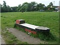 The Pride of Middlewich, by the Trent & Mersey canal