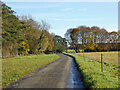 Road east from Nether Worton