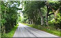 A832 south of Poolewe