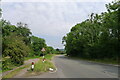 The A60 running down Bunny Hill