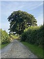 Track to Fenton Home Farm