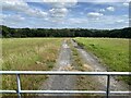 Track to Wern Ddu