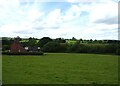 Grazing, Ryecroft Gate