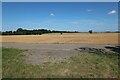 Stubble field near Croydon