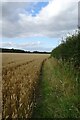 Bridleway near Lingcroft