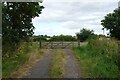 Gate near Moor Side Farm