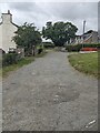 Trees and houses, Boughrood Brest, Powys