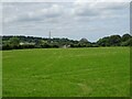 Grassland off the A523