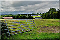 An open field, Mulnagoagh