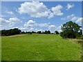 Sanders Field/Grub Field