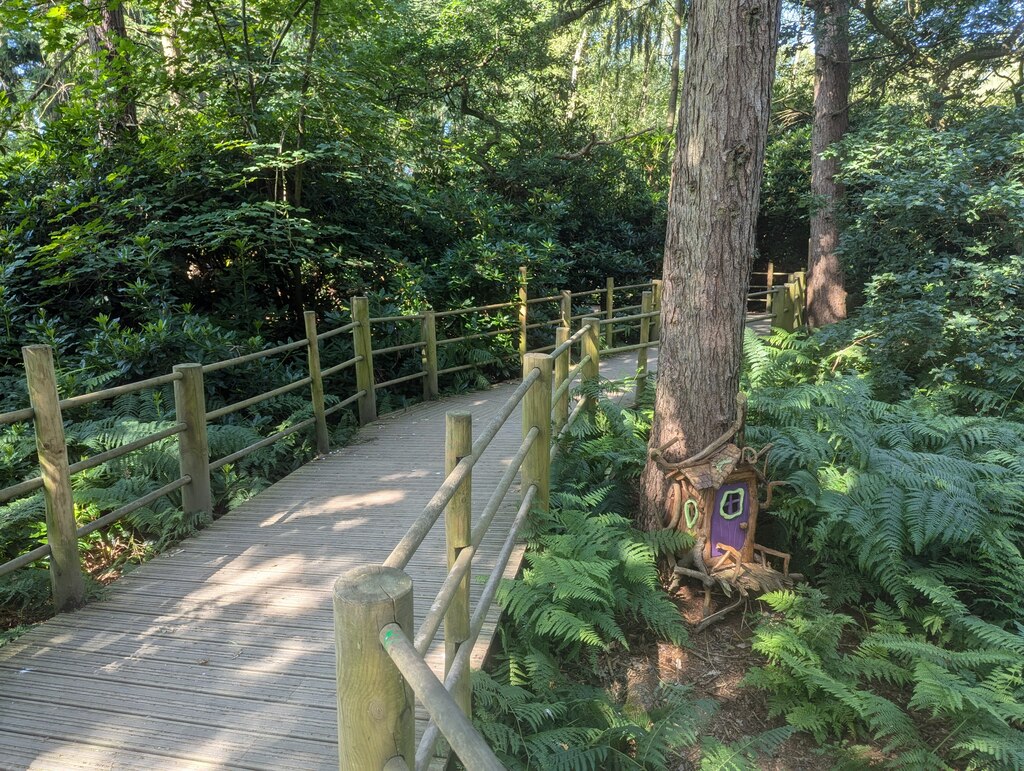 Boardwalk at Bewilderwood, Cheshire © TCExplorer cc-by-sa/2.0 ...