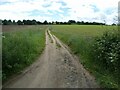 Track across a field to Costessey