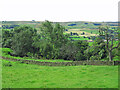 Farmland and wooded cleugh north of Newlands Hall