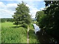 The Macclesfield Canal, Lyme Green