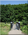 A bridge over Skelton Beck, Saltburn Valley Gardens