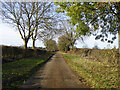 Lane towards Hornton from Wroxton