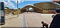 Swansea Fancy Footbridge