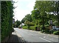 The Village (A538), Prestbury