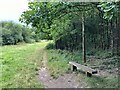 Inholms Clay Pit, North Holmwood