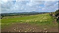 Field near Trethevey