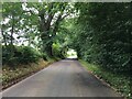 Minor road near Crieff