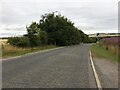 Road near Fetteresso Cemetery