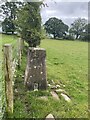 Rose Bank Trig Point Flush Bracket 11073