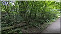 Abandoned railway track on Colliers Way