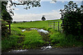 Muddy entrance to field, Kivlin