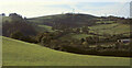 Countryside near Ermington, 1997